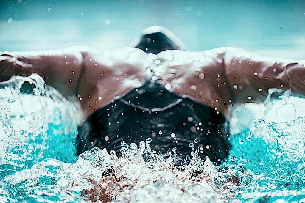 Butterfly Swimmer